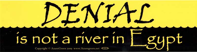 denial-is-not-a-river-in-egypt-bumper-sticker-azuregreen