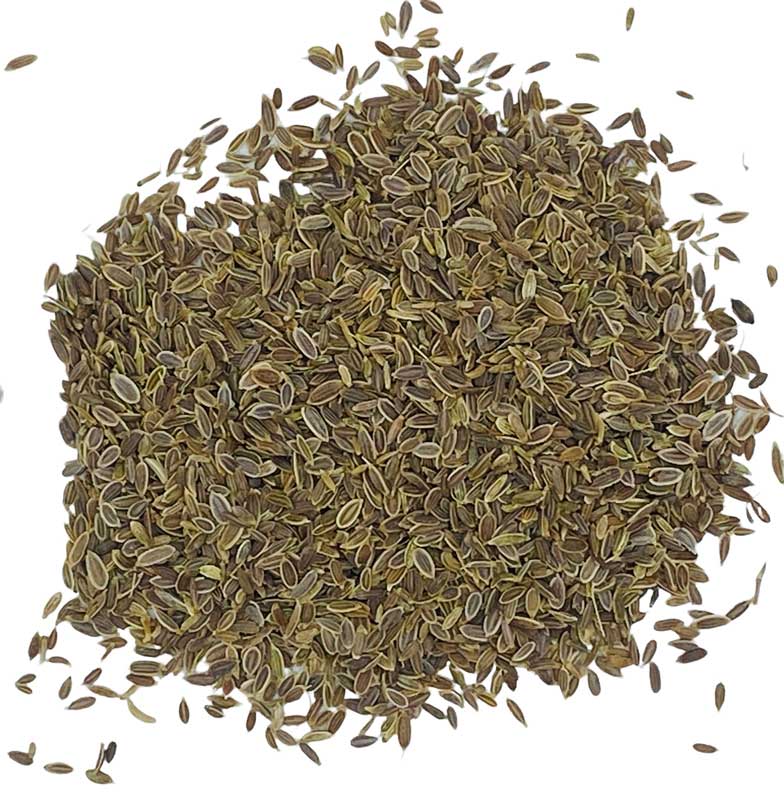 Dill Seed Whole 2oz-azuregreen