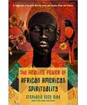 Healing Power of African American Spirituality by Stephanie Rose Bird