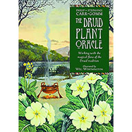 Druid Plant oracle by Carr-Gomm & Carr-Gomm