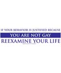 If your Behavior is Justified because You Are Not Gay Reexamine Your Life