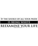 If the Source of All your Pride is Being White Reexamine Your Life