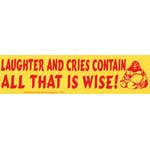 Laughter and Cries Contain All That is Wise! bumper sticker