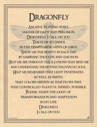 Dragonfly poster