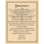 Dragonfly poster