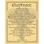 Elephant Prayer poster