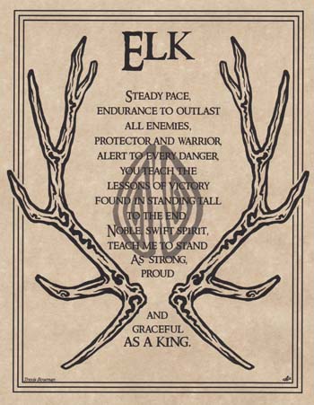 Elk Prayer poster