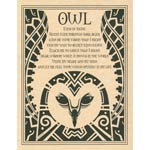 Owl poster