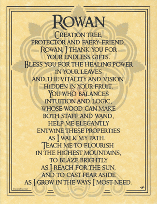 Rowan Tree poster