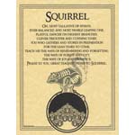 Squirrel Prayer poster