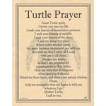 Turtle Prayer poster