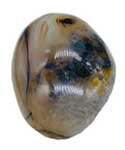 Agate, Dendritic palm stone