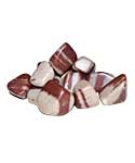 1 lb Shiva Lingam tumbled stones