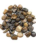 1 lb Stromatolite (onyx Brown) tumbled stones