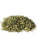 Catnip cut 1oz  (Nepeta cataria)