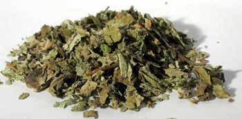 Coltsfoot Leaf cut 1oz (Tussilago farfara)