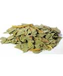 1 Lb Eucalyptus cut (Eucalyptus globulus)