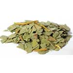 Eucalyptus cut 1oz  (Eucalyptus globulus)