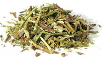 Hyssop cut 1oz  (Hyssopus officinalis)