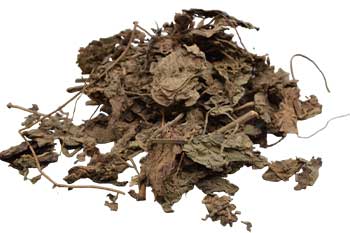 1 Lb Patchouli Leaf whole