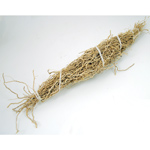 Patchouli Root 1 root bundle (Pogostemon cablin)