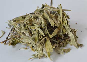 1 Lb Sage Leaf cut (Salvia officinalis)