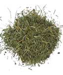 1 Lb Shavegrass cut wild crafted (horsetail)