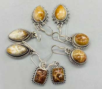 Fossil coral various earrings