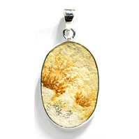 Russian Dendritic Agate pendant