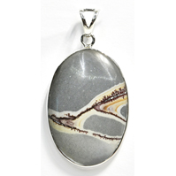 Natural Paintbrush Jasper pendant