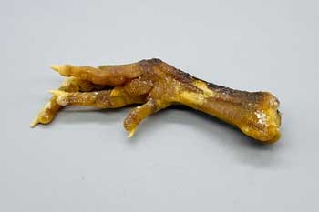 Chicken Feet