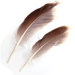 Natural Gray Goose feather