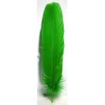 (set of 10) Green feather 12