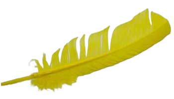 (set of 10) Yellow feather 12