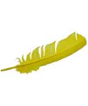 (set of 10) Yellow feather 12