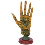 Alchemy Palmistry Hand