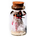 Wedding Binding Dolls spellbottle